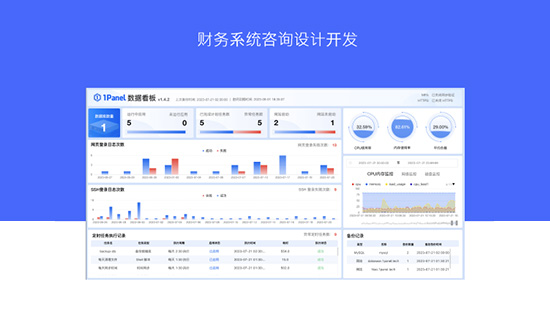 財務系統咨詢設計開發